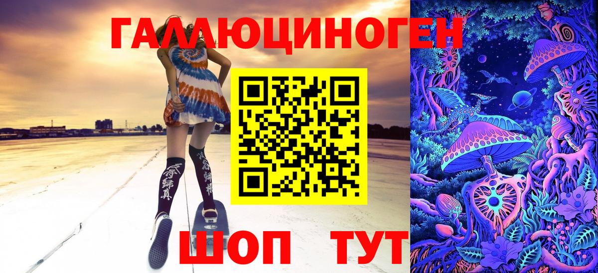 Киров  Псилоцибиновые грибы Psilocybine cubensis  Вход с VPN 